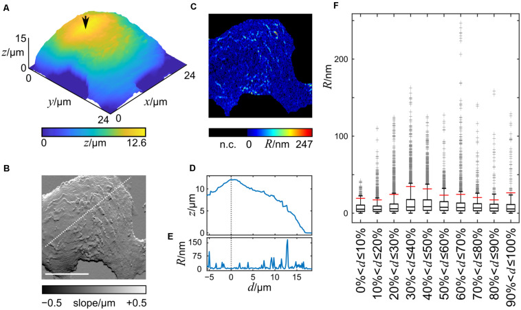 FIGURE 3