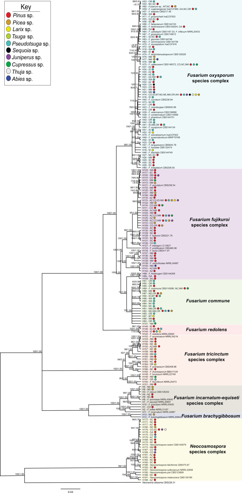 Figure 2