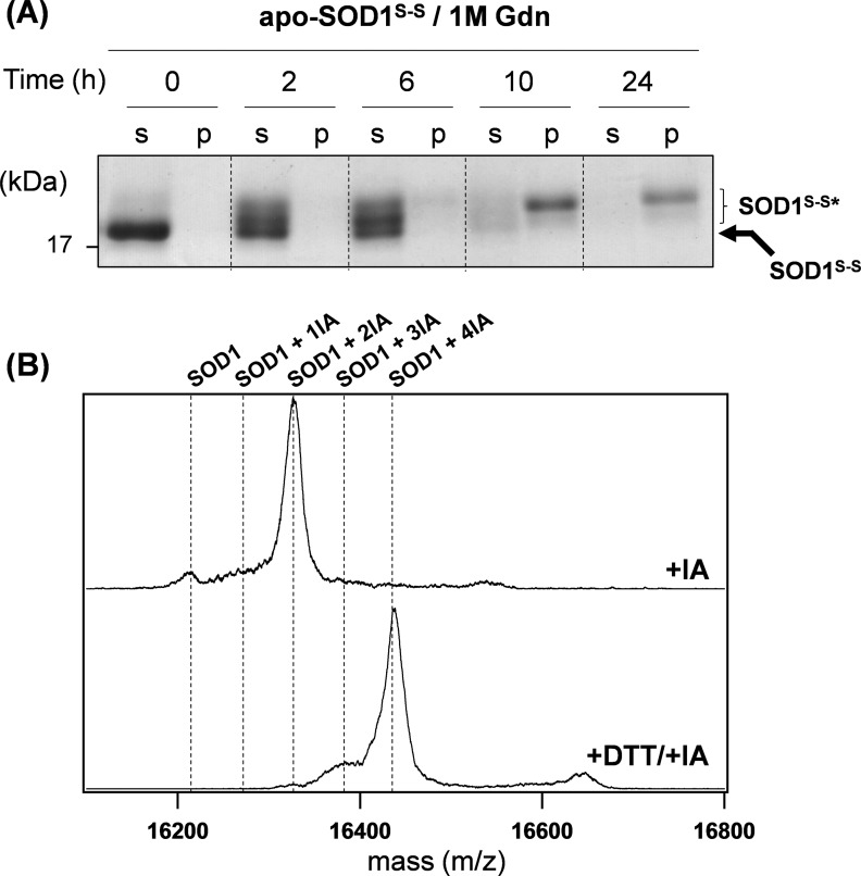 FIGURE 3.