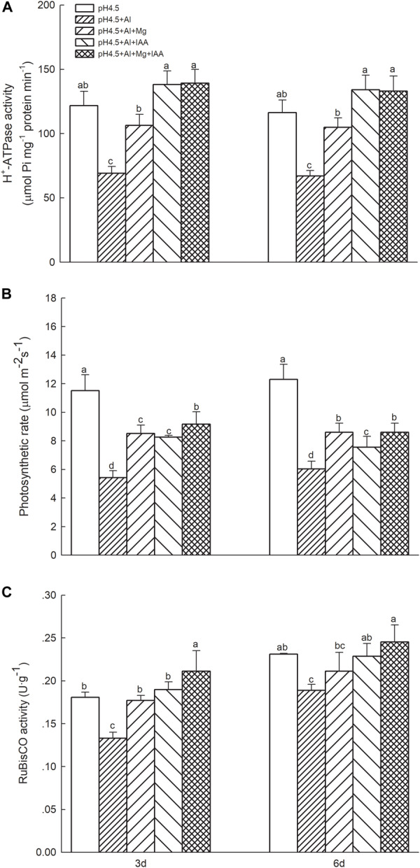 FIGURE 3