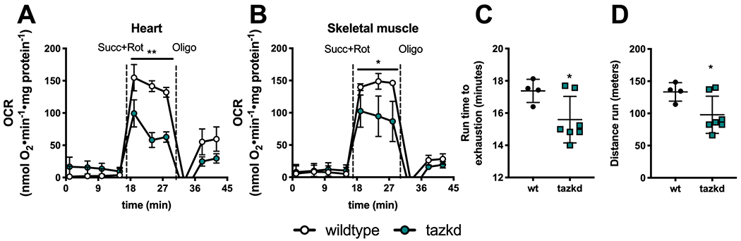 Figure 4 –