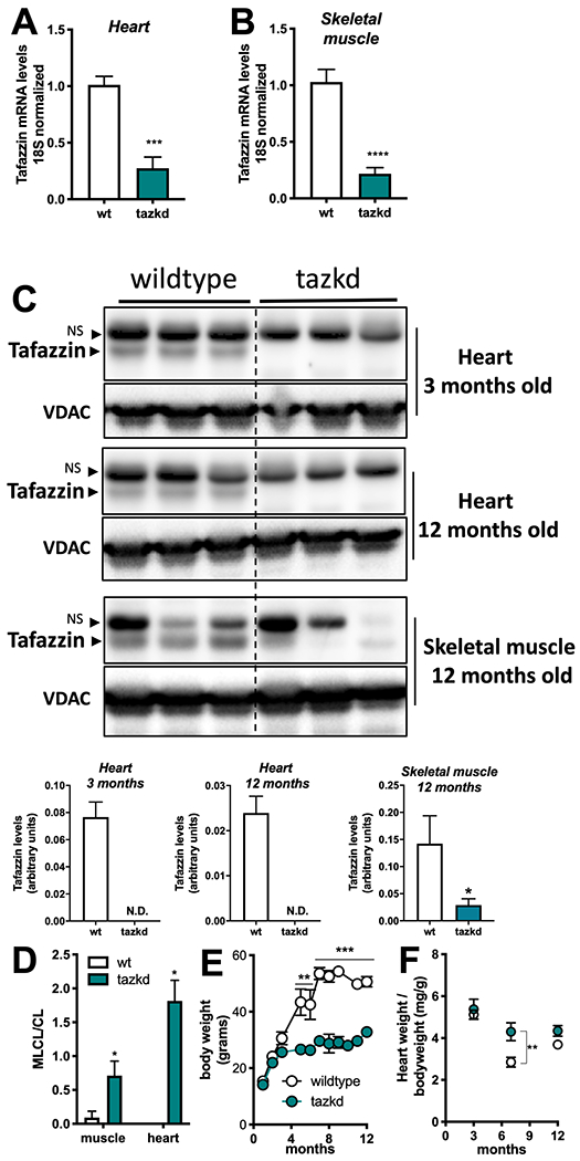 Figure 2 –