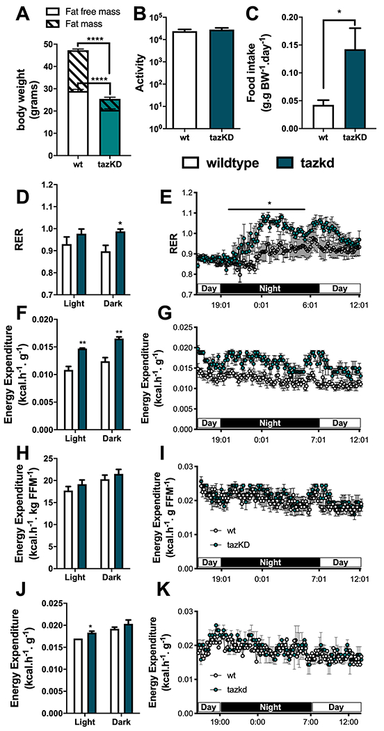 Figure 3 –