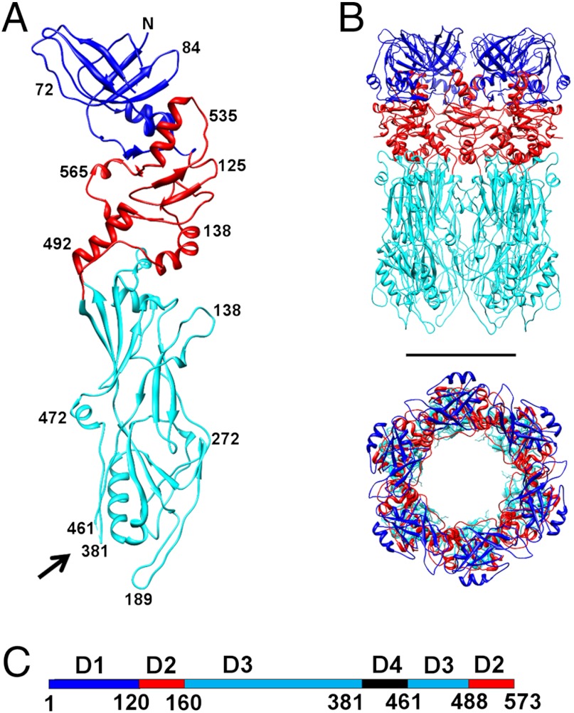 Fig. 4.