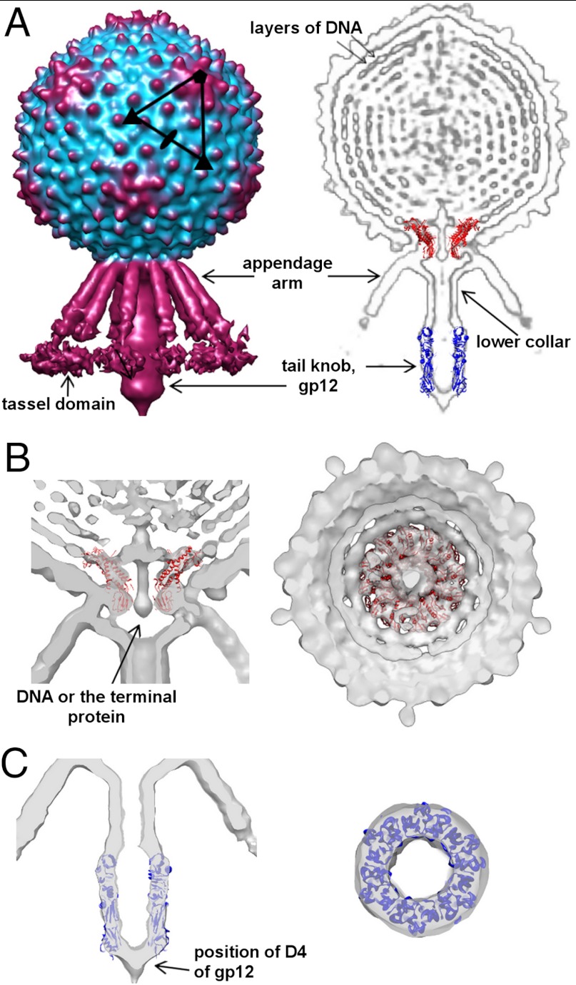 Fig. 2.