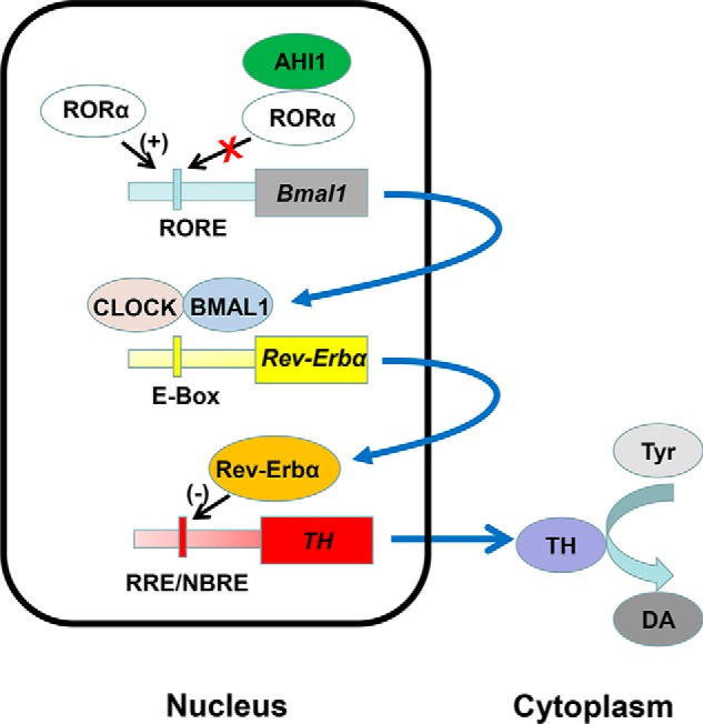 Figure 6.