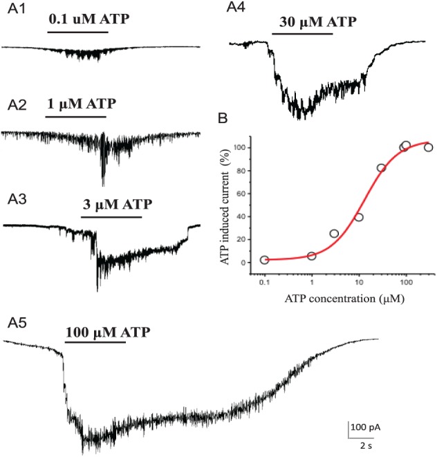 Figure 2.