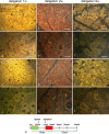 Supplementary Fig. 4