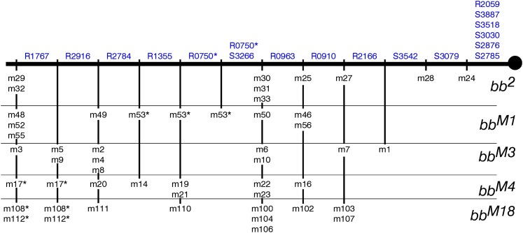 Figure 9 