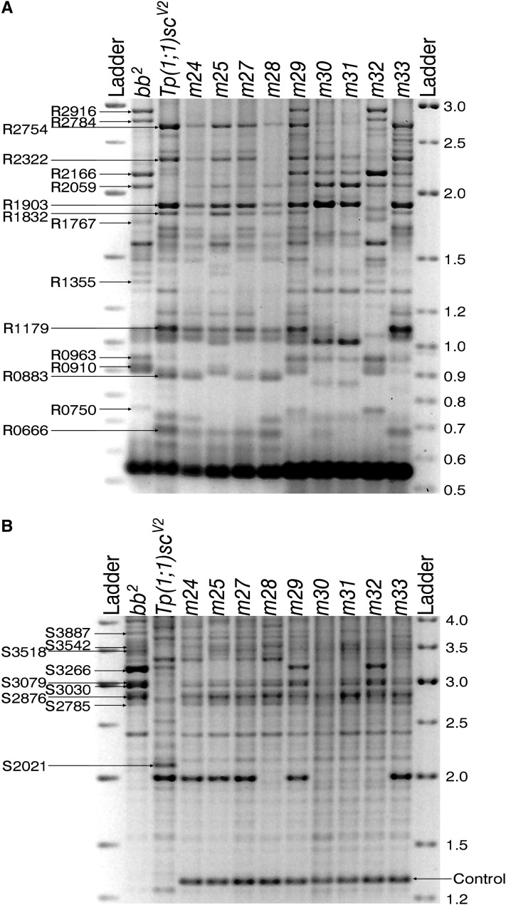 Figure 7 