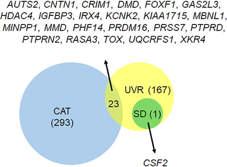 Supplementary Figure S2