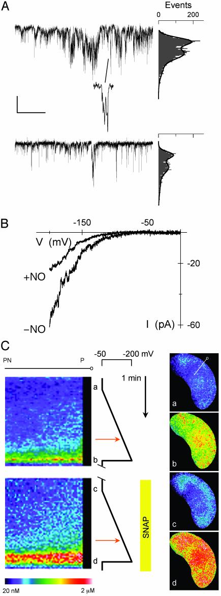 Fig. 5.