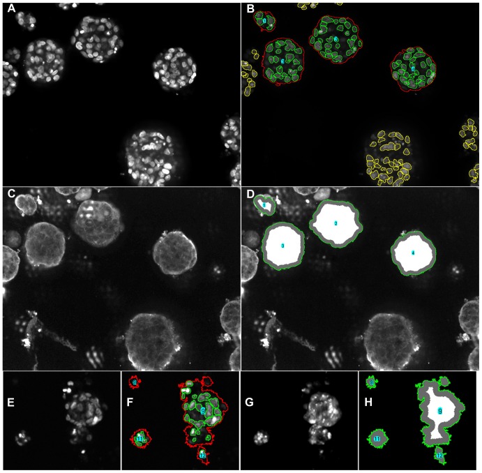 Figure 16