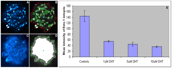 Figure 17