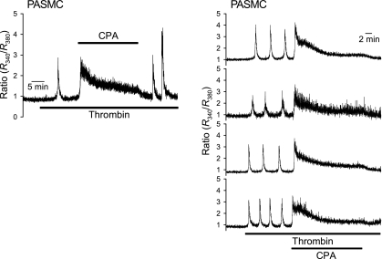 Fig. 8.