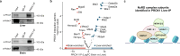 Extended Data Fig. 6