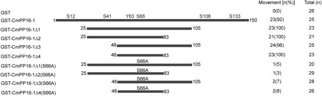 Figure 10.