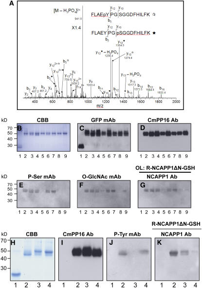 Figure 9.