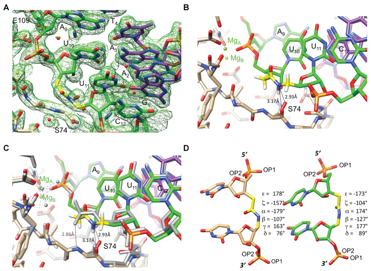 Figure 6.