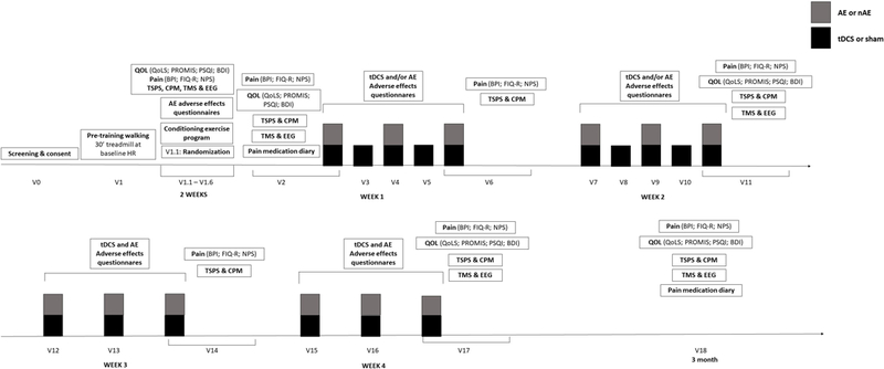 Figure 2: