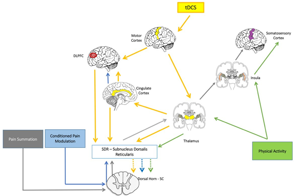 Figure 1: