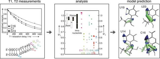 Figure 20