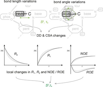 Figure 19