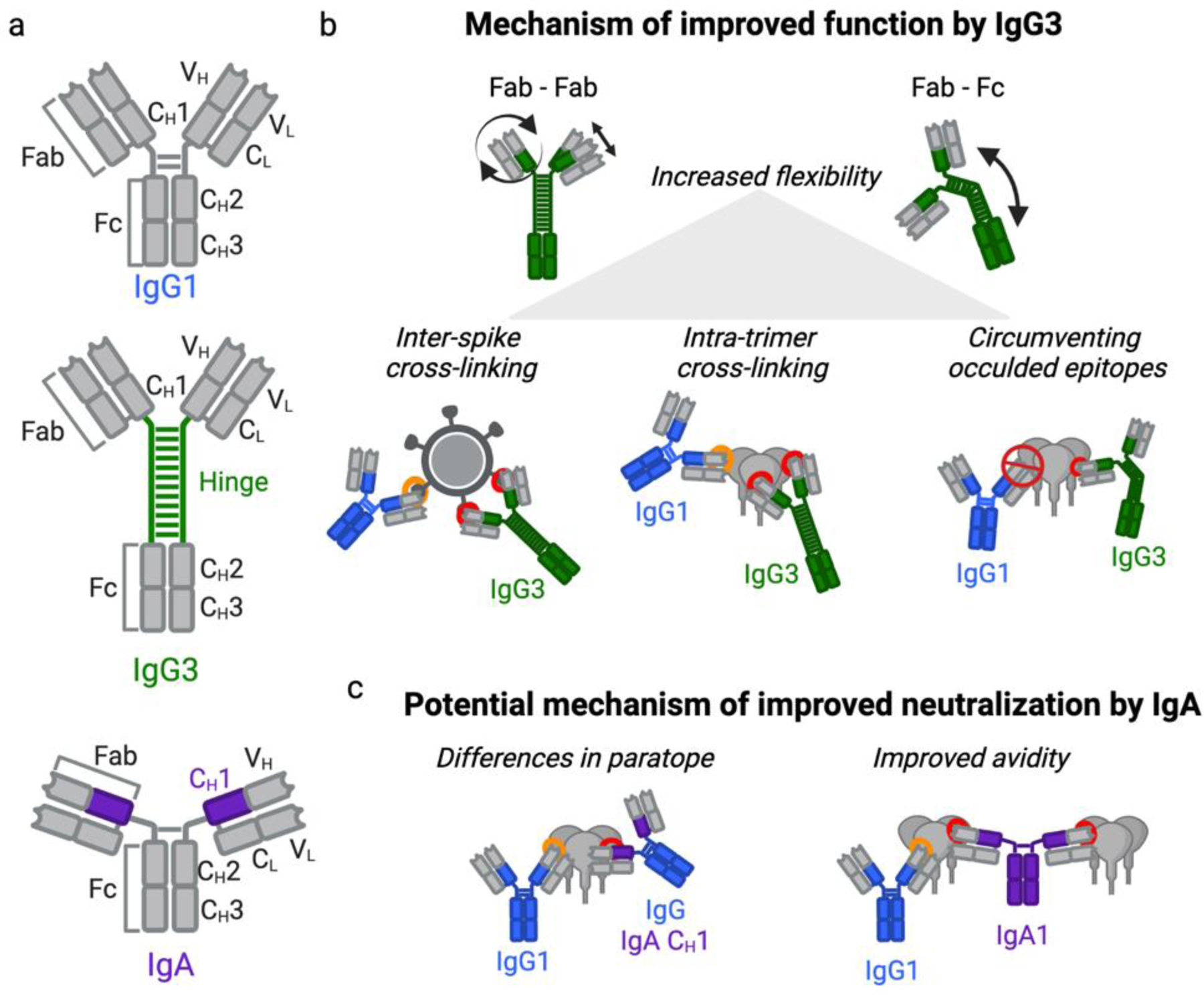 Figure 2: