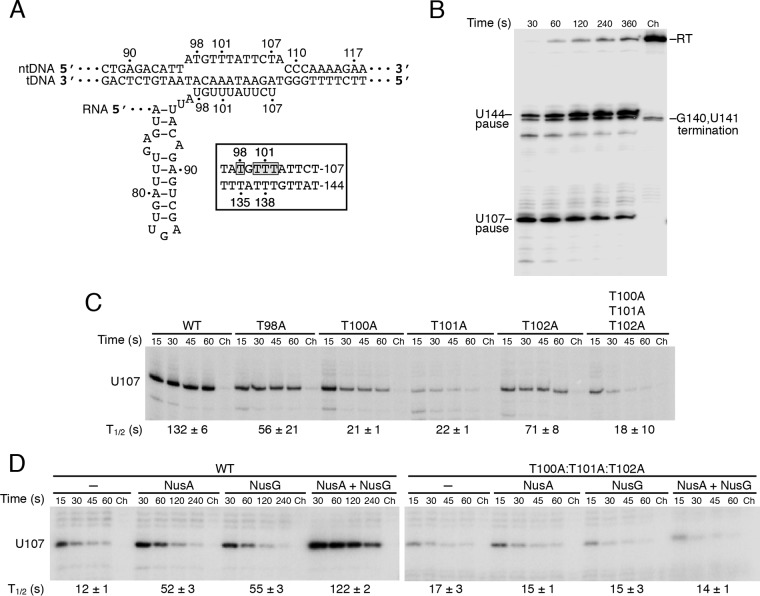 FIG 2