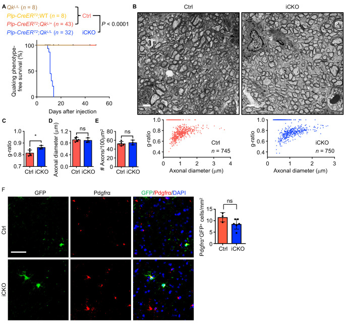 Figure 4—figure supplement 1.