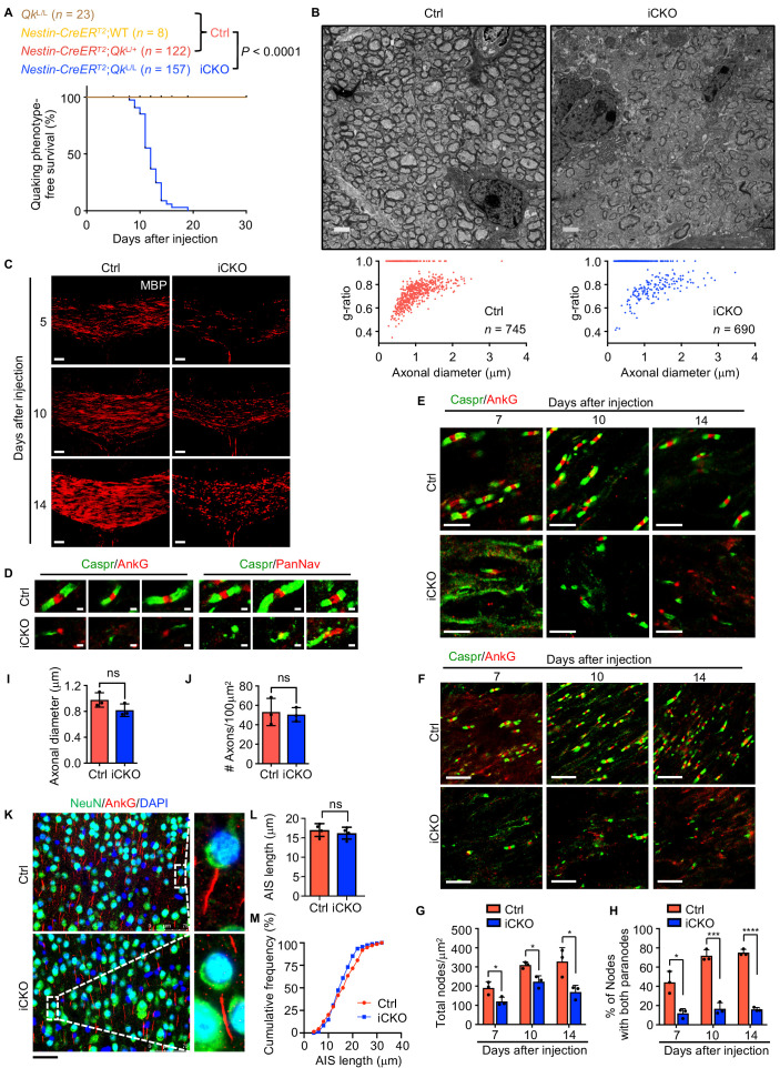 Figure 1—figure supplement 1.