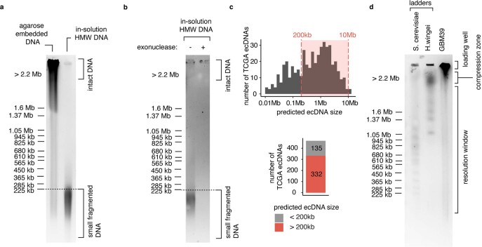 Extended Data Fig. 1