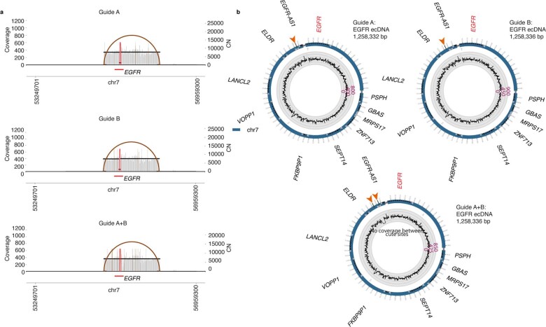 Extended Data Fig. 6