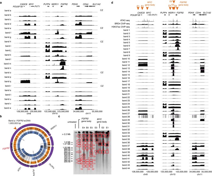 Extended Data Fig. 8