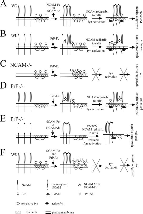 Figure 10.