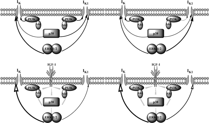 Fig. 10.