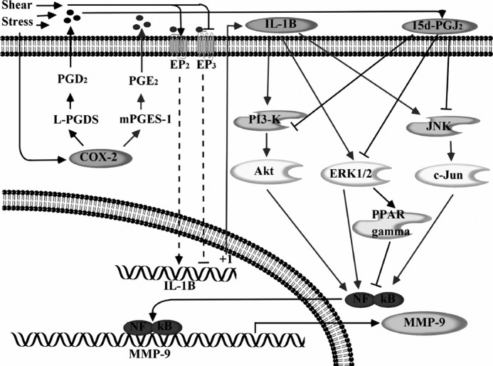 FIGURE 10.