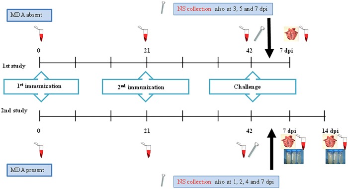 Fig 1