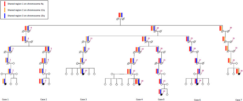 Fig. 1