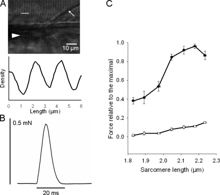 Figure 2.