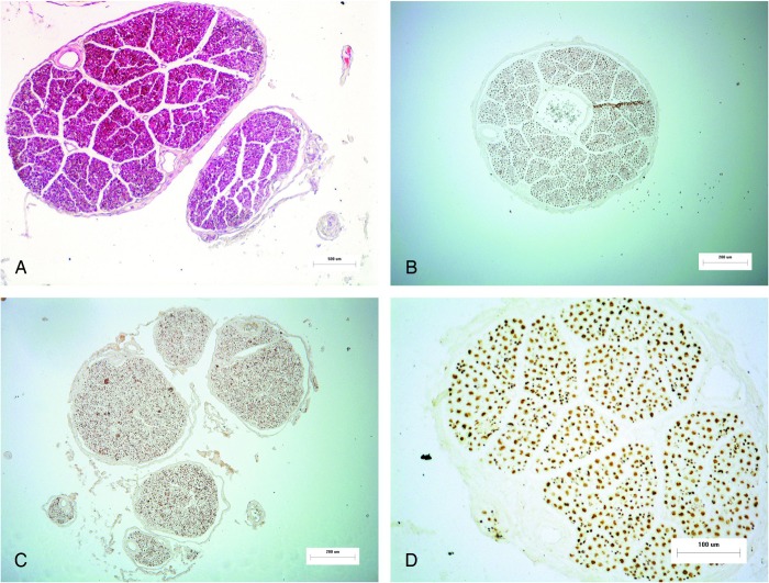 Figure 1 