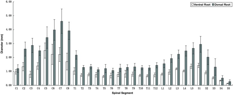 Figure 2 