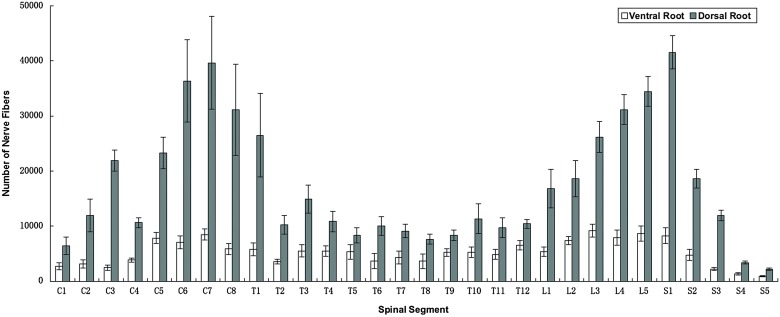 Figure 3 