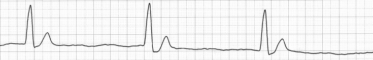 Fig. 6