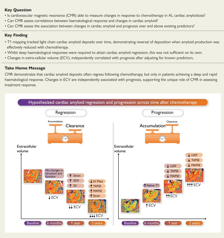 Structured Graphical Abstract