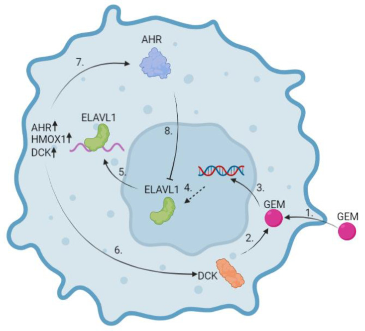 Figure 11