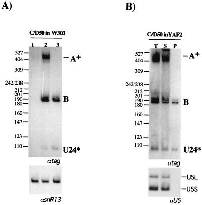 FIG. 3.