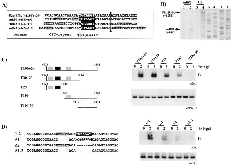 FIG. 9.