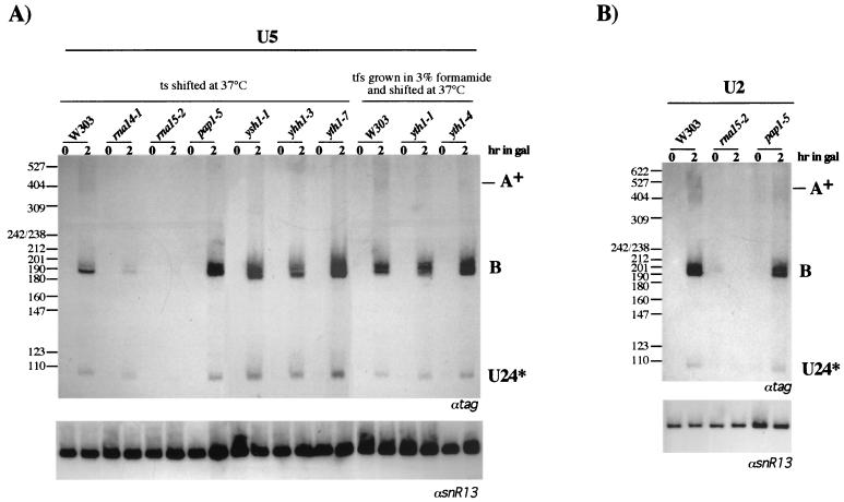 FIG. 6.