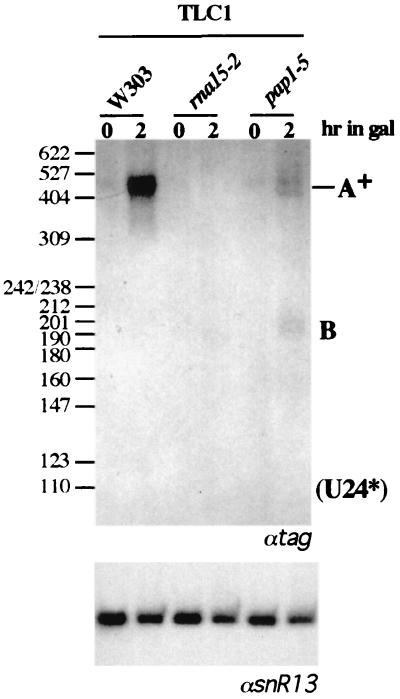 FIG. 7.